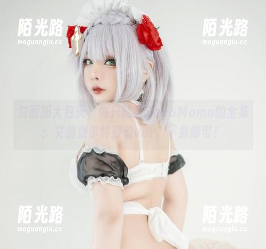 封面胆大包天，也只能是SayoMomo的全集：艾德费尔特野兽ver，下载即可！