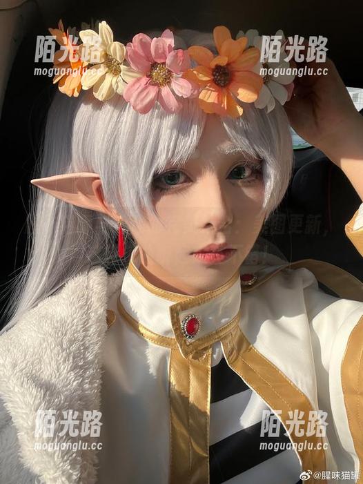 腥味猫罐 腥味猫罐与运动的完美结合:美图更新,这首乐曲听起来真不错!